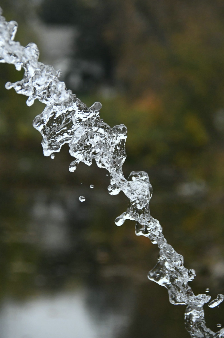 氨氮檢測 氨氮檢測