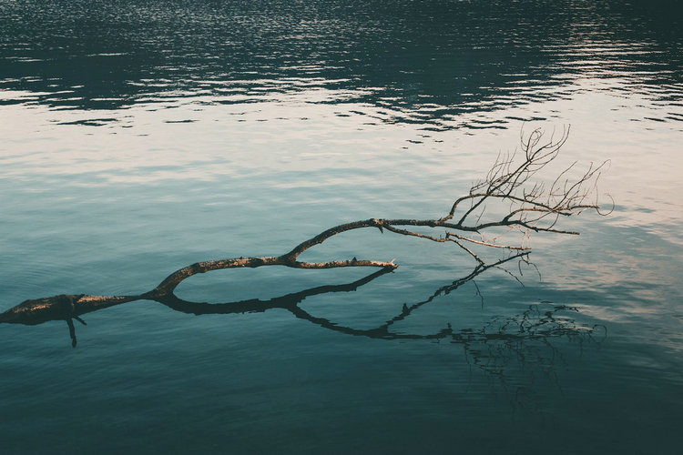 氨氮 氨氮