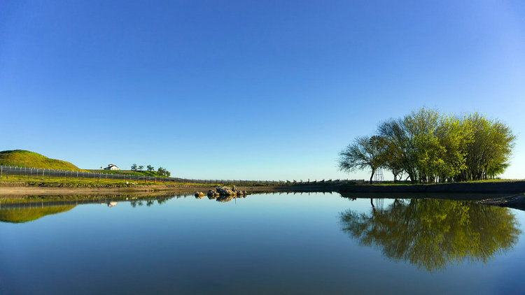 氨氮 氨氮